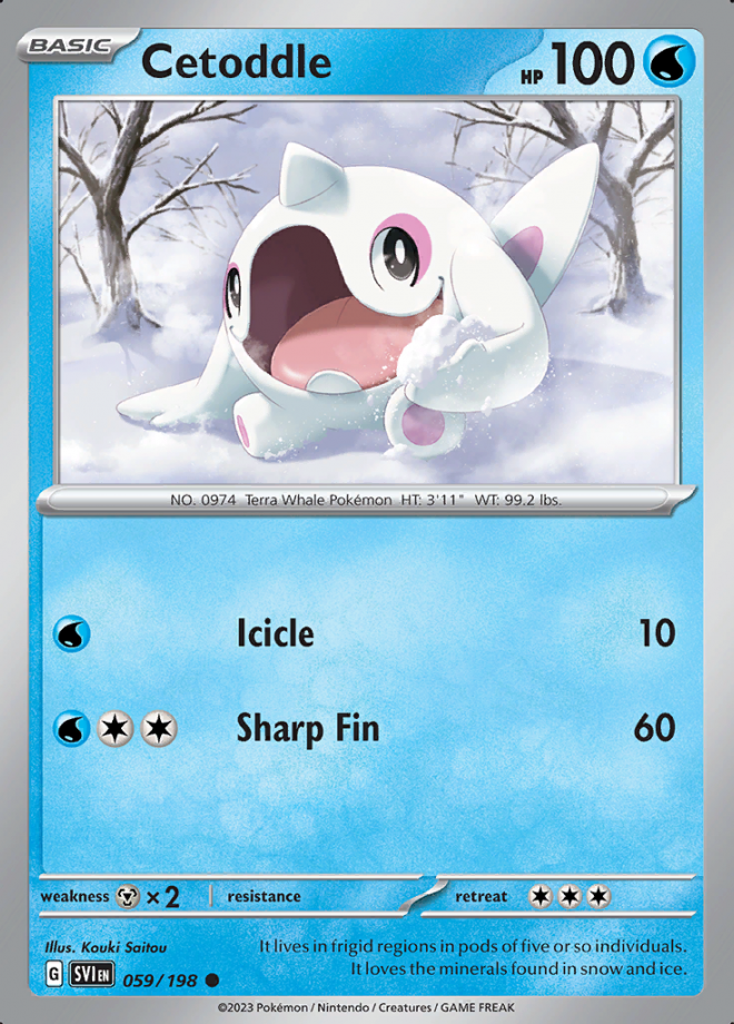 Cetoddle 059(SVI)