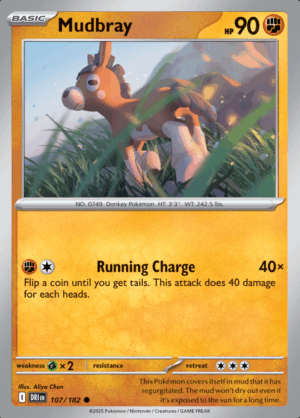 Mudbray Reverse Holo 107 (DRI)