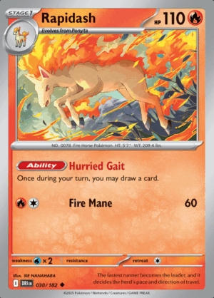 Rapidash 030 (DRI)