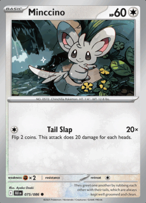 Minccino 075 (BLK)