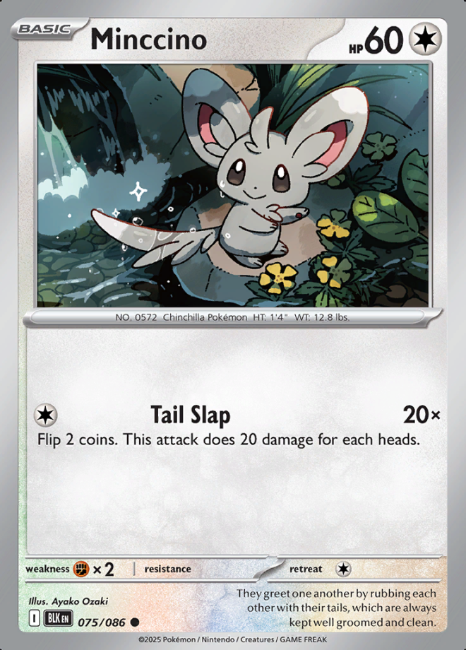 Minccino 075 (BLK)