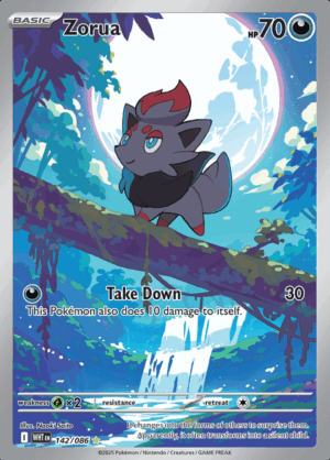 Zorua 142 (WHT)