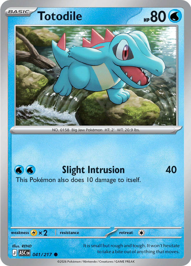 Totodile 041 (ASC)