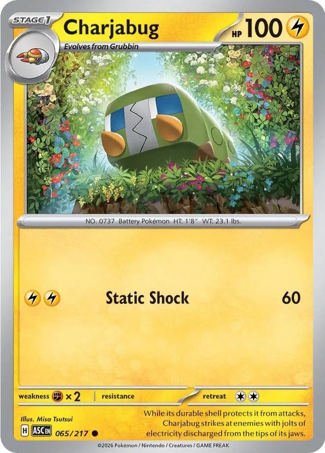 Charjabug Reverse Holo -Energy pattern 065 (ASC)