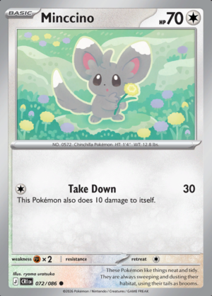Minccino 072 (CRI)